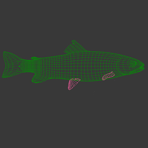 max largemouth fish - Freshwater fish collection by gauthier12